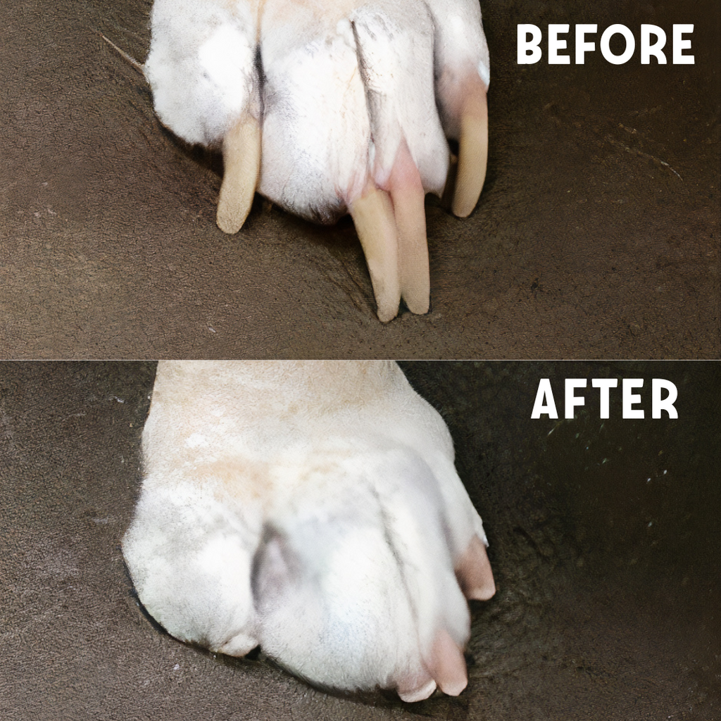 Pet Nail Grinder product image 4