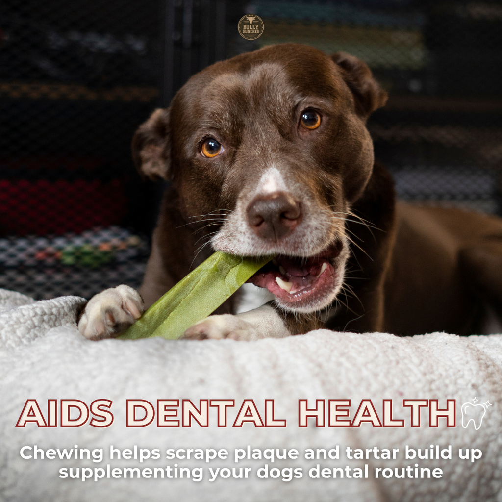 Mint Himalayan Yak Chews product image 3