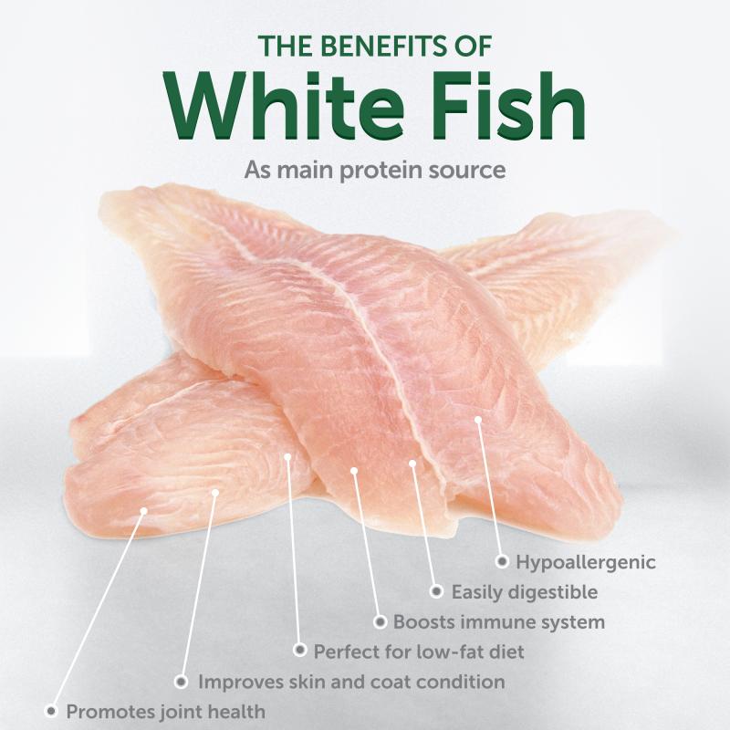 White Fish Dry Dog Food for Small Breeds product image 3
