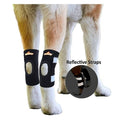 Dog Hock Brace product image 1