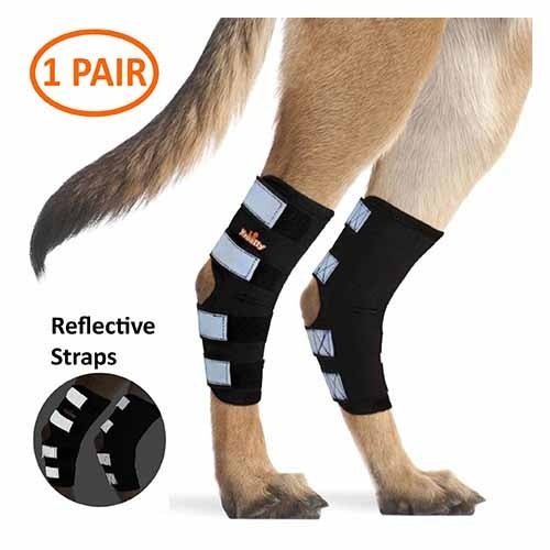 Dog Hock Brace product image 1