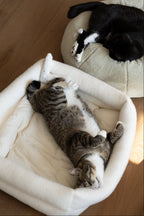 Cat Bolster Bed product image 1