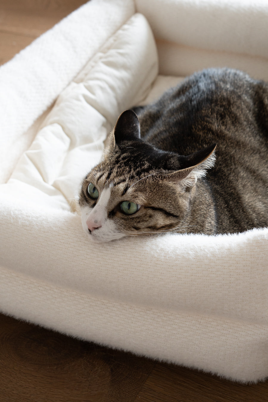 Cat Bolster Bed product image 2