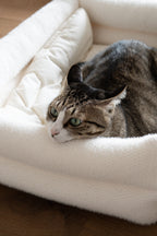 Cat Bolster Bed product image 2