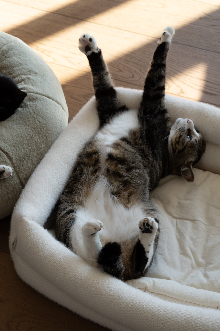 Cat Bolster Bed product image 10