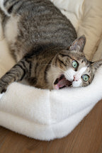 Cat Bolster Bed product image 13