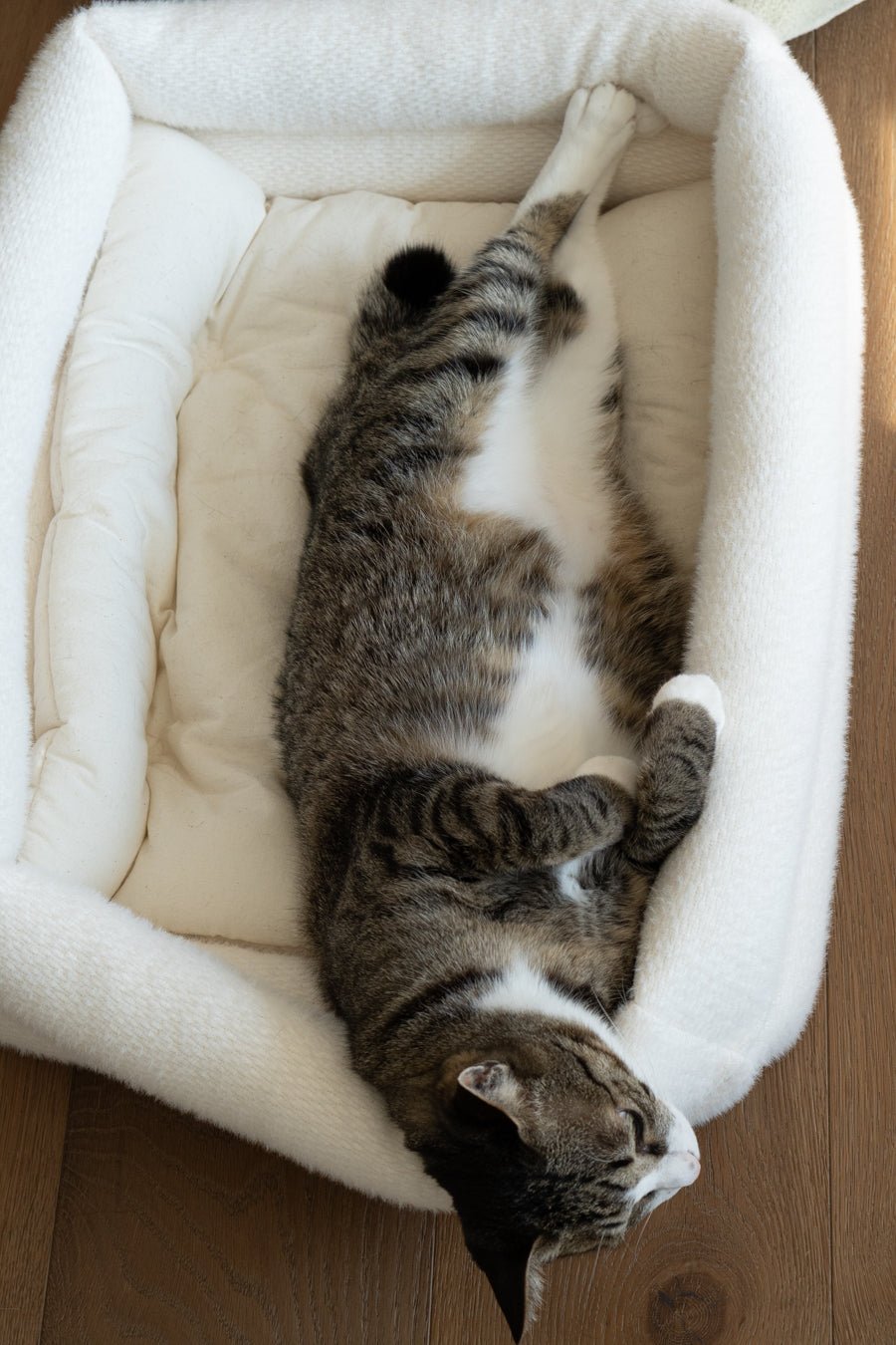 Cat Bolster Bed product image 19
