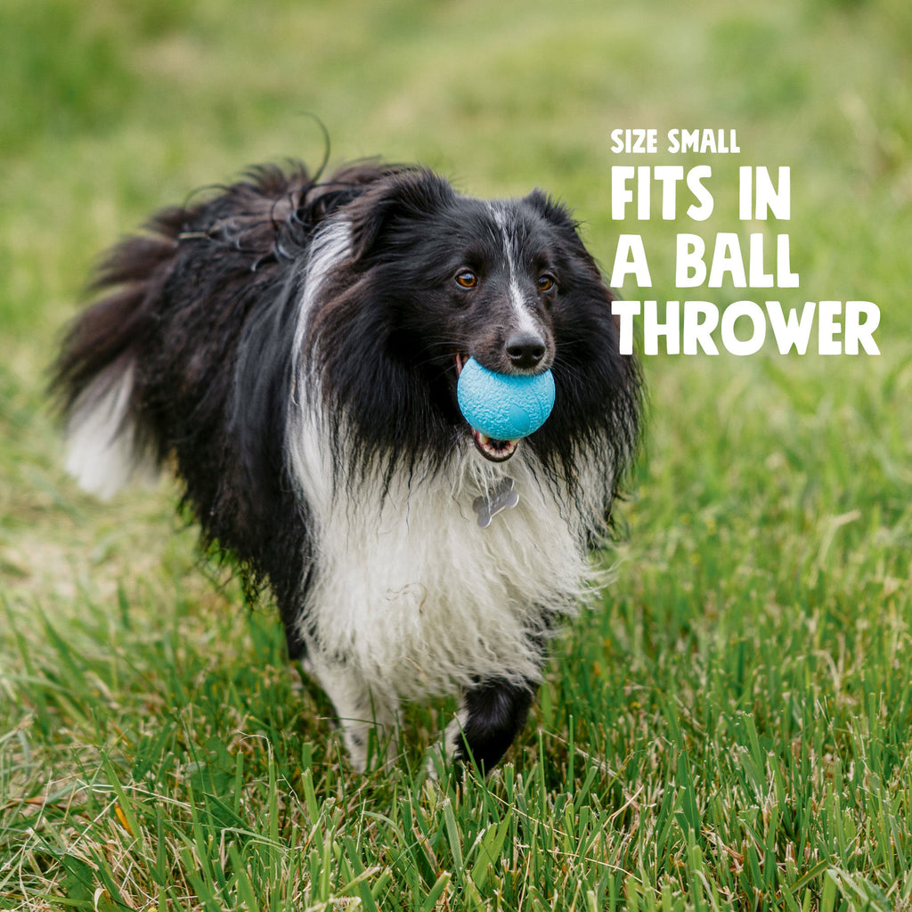 Dog Fetch Ball product image 3
