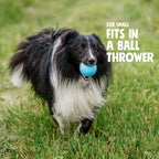 Dog Fetch Ball product image 3