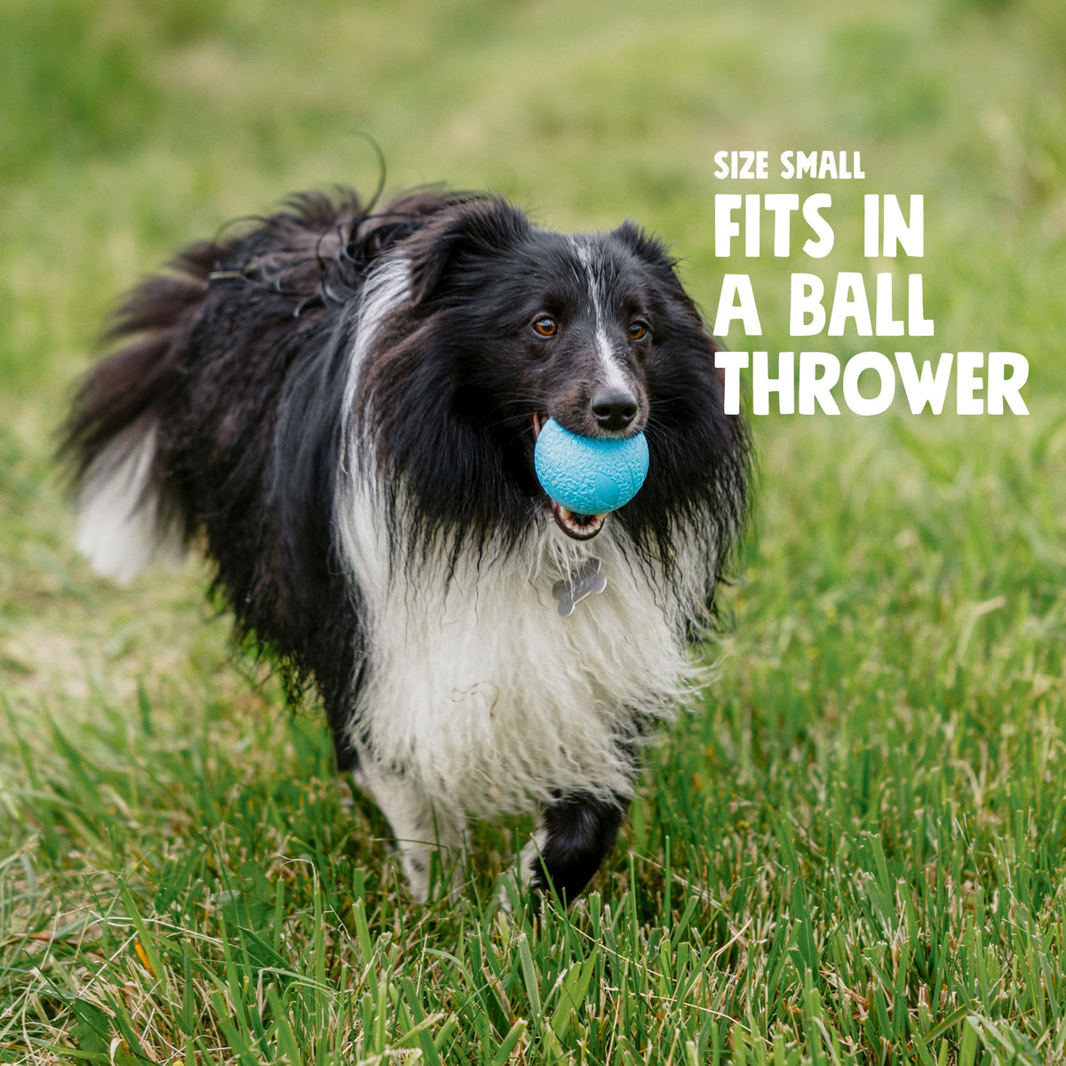 Dog Fetch Ball product image 3
