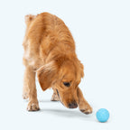 Dog Fetch Ball product image 7