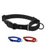 Martingale Dog Collar product image 1