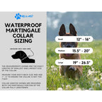 Martingale Dog Collar product image 6