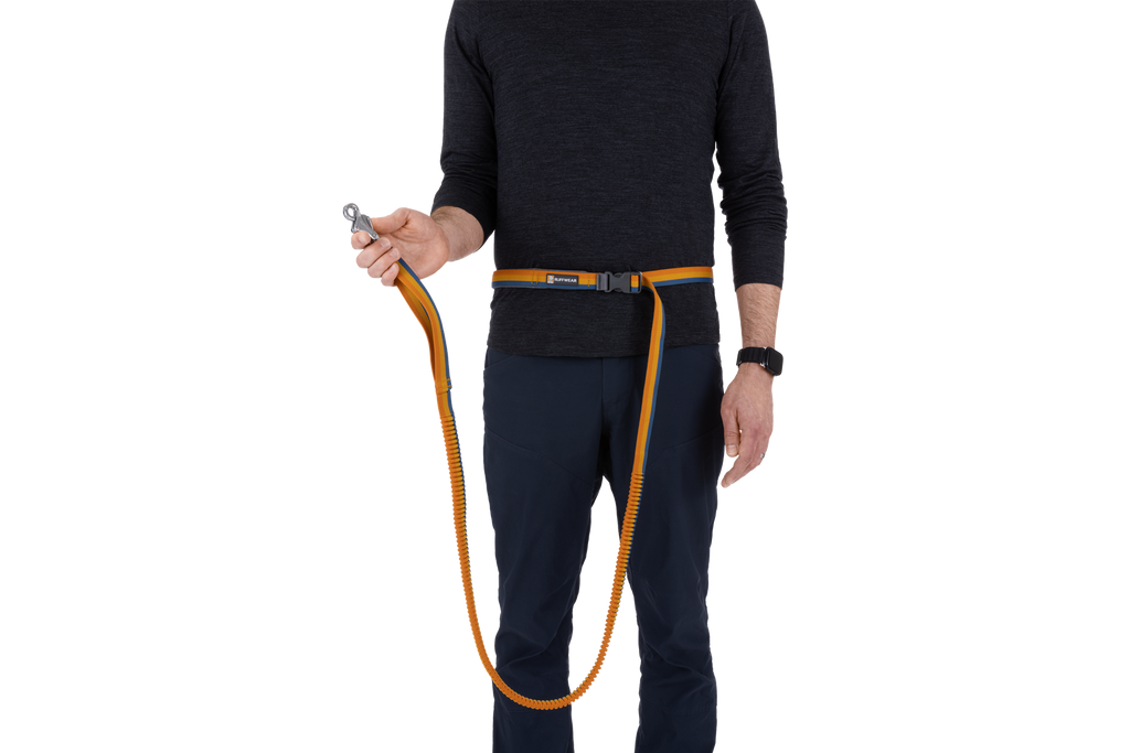 Hands-Free Bungee Dog Leash product image 7