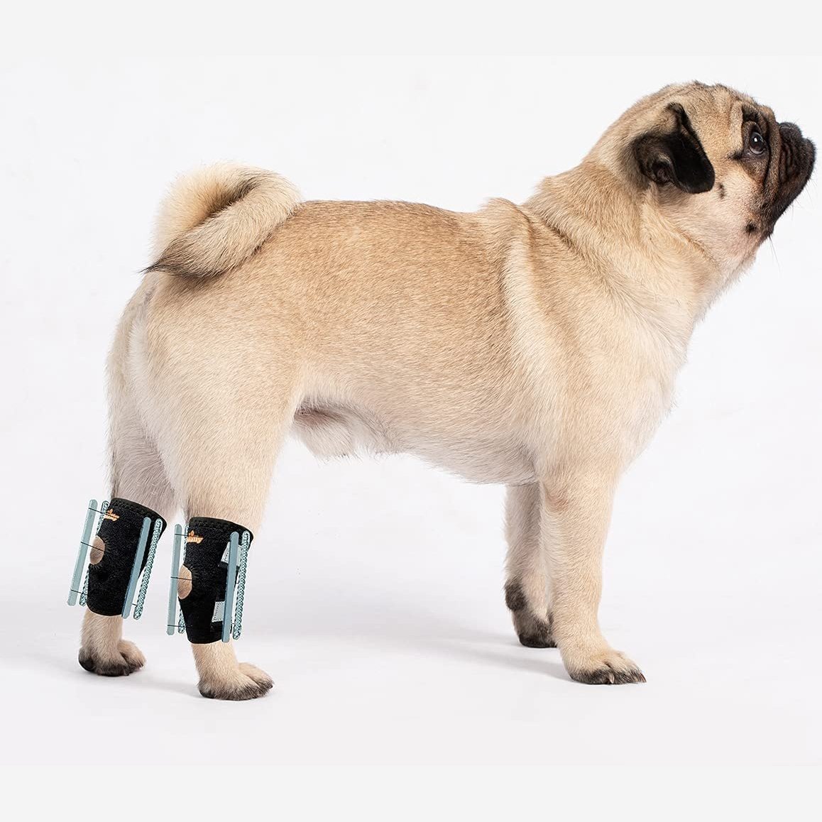 Dog Hock Brace product image 1