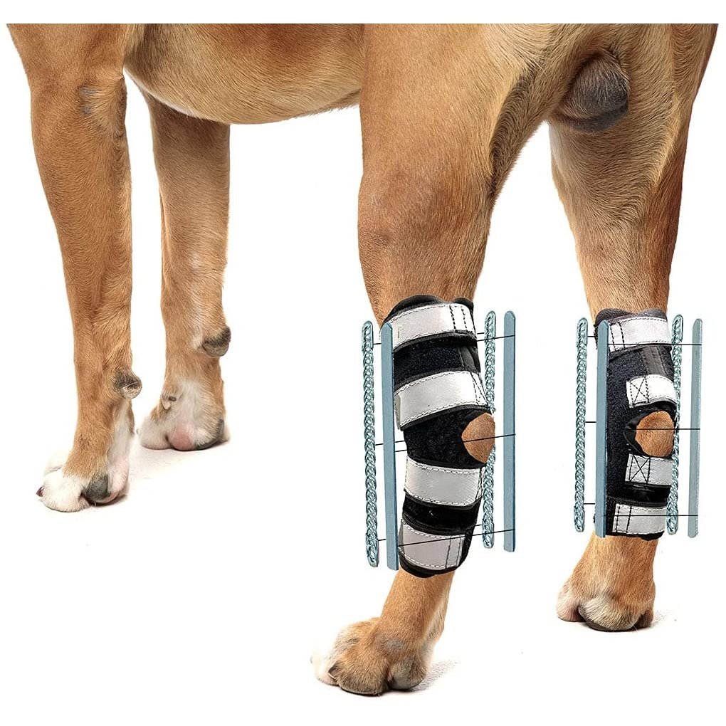 Dog Hock Brace product image 1