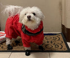 Dog Boots product image 5