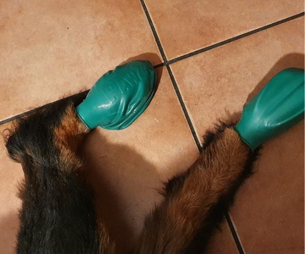 Dog Boots product image 6
