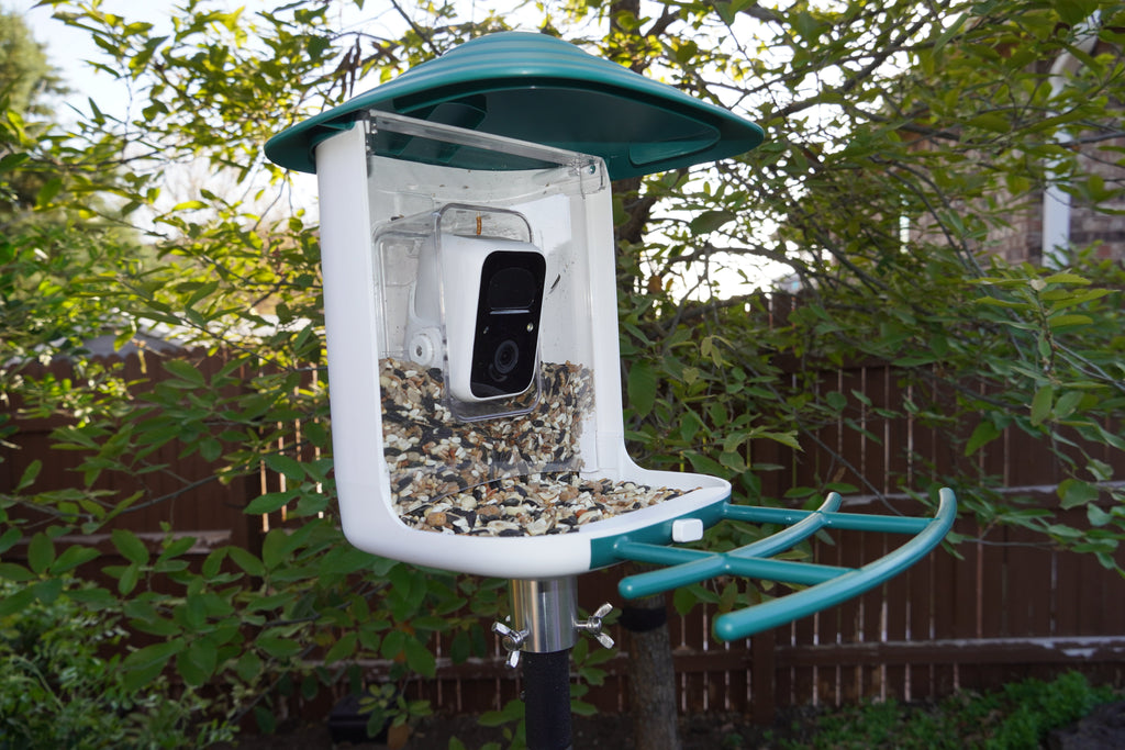 Bird Feeder Camera product image 4
