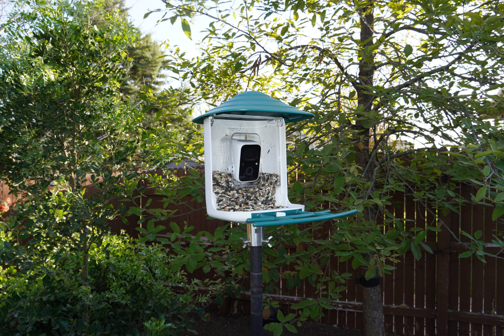 Bird Feeder Camera product image 6