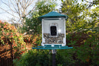 Bird Feeder Camera product image 8