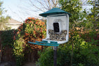 Bird Feeder Camera product image 9