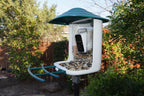 Bird Feeder Camera product image 10