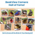 Bird Feeder Camera product image 11