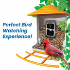 Bird Feeder Camera product image 12