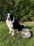 Automatic Pet Water Bowl product image 1