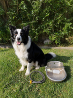 Automatic Pet Water Bowl product image 1