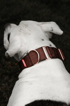 Martingale Dog Collar product image 4