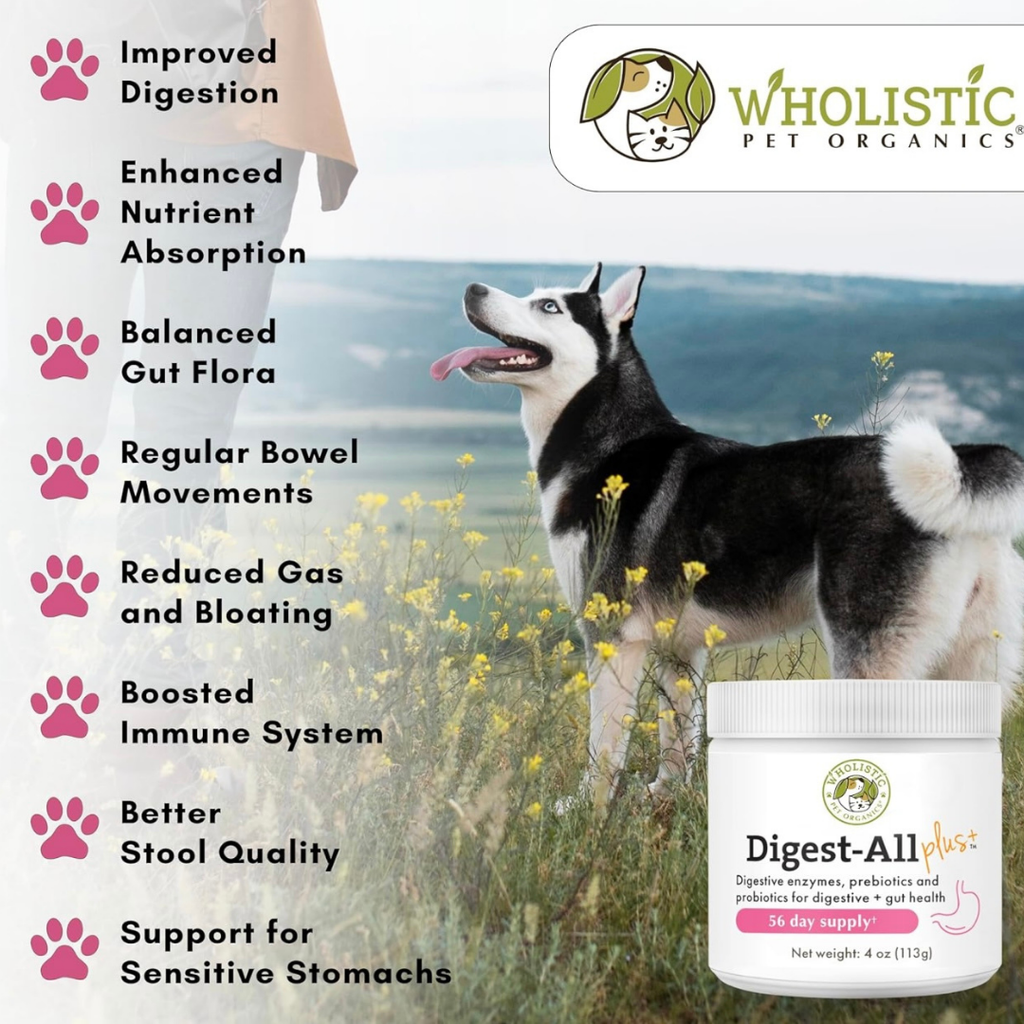 Dog Digestive Supplement product image 3