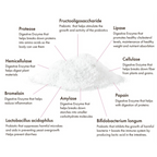 Dog Digestive Supplement product image 5