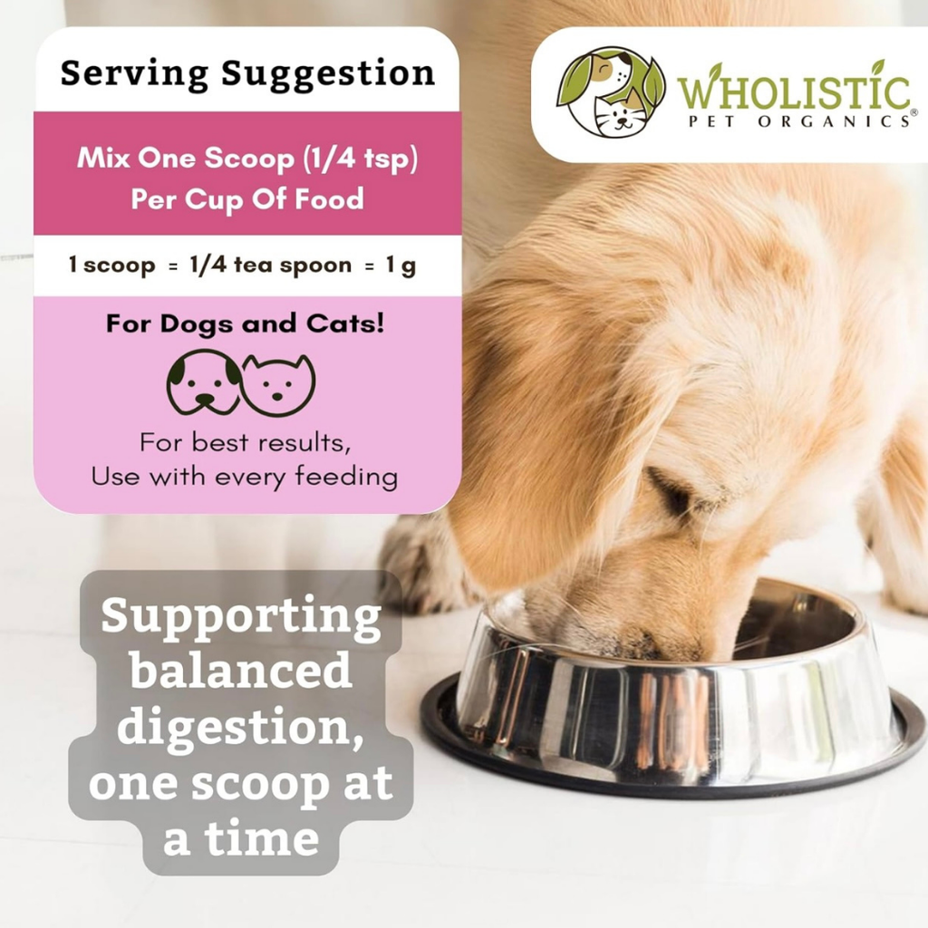 Dog Digestive Supplement product image 6