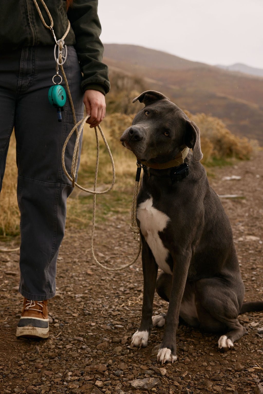 Hands-Free Slip Lead product image 6