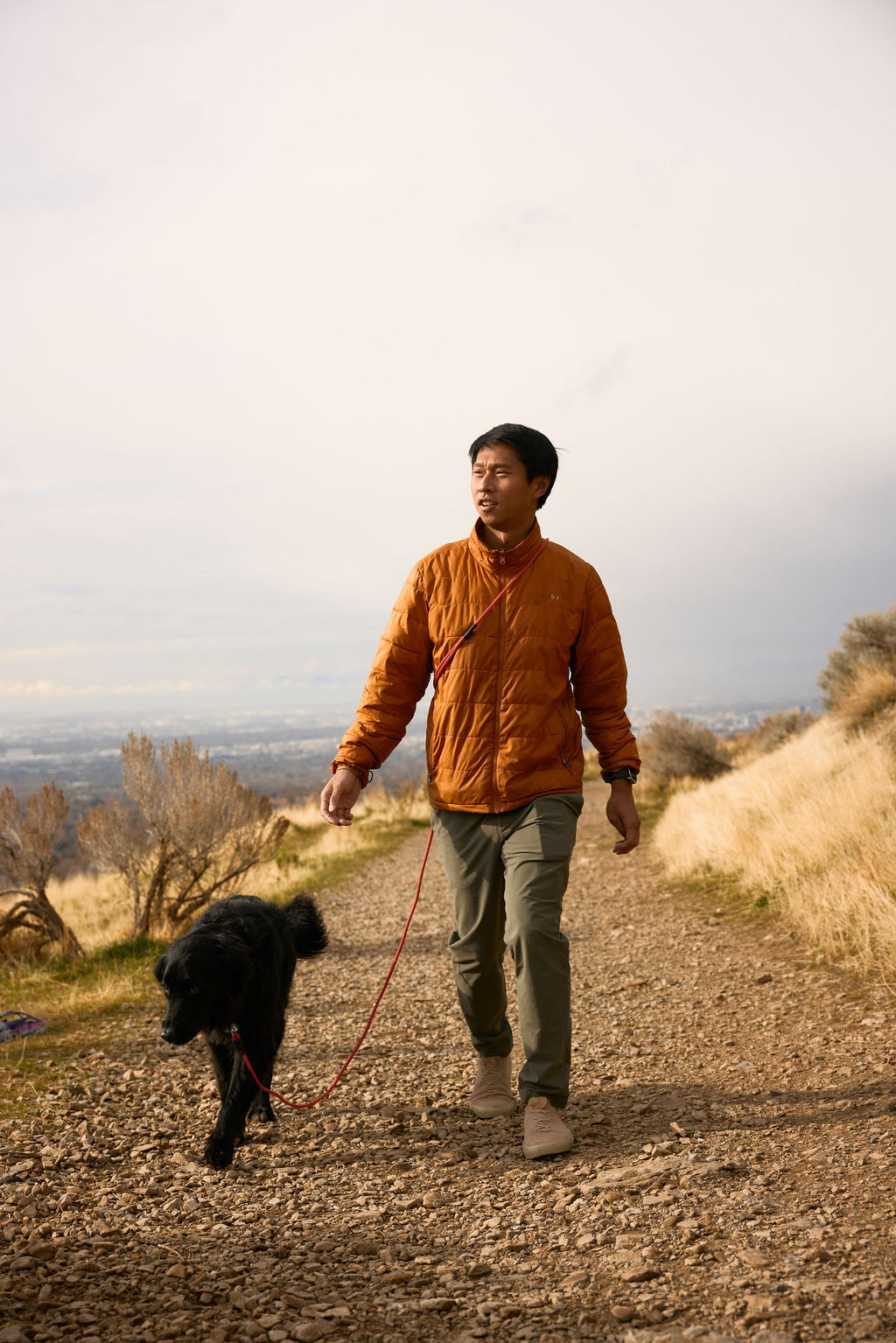 Hands-Free Leash product image 5
