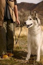 Hands-Free Leash product image 8