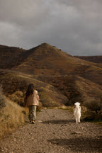Hands-Free Leash product image 12