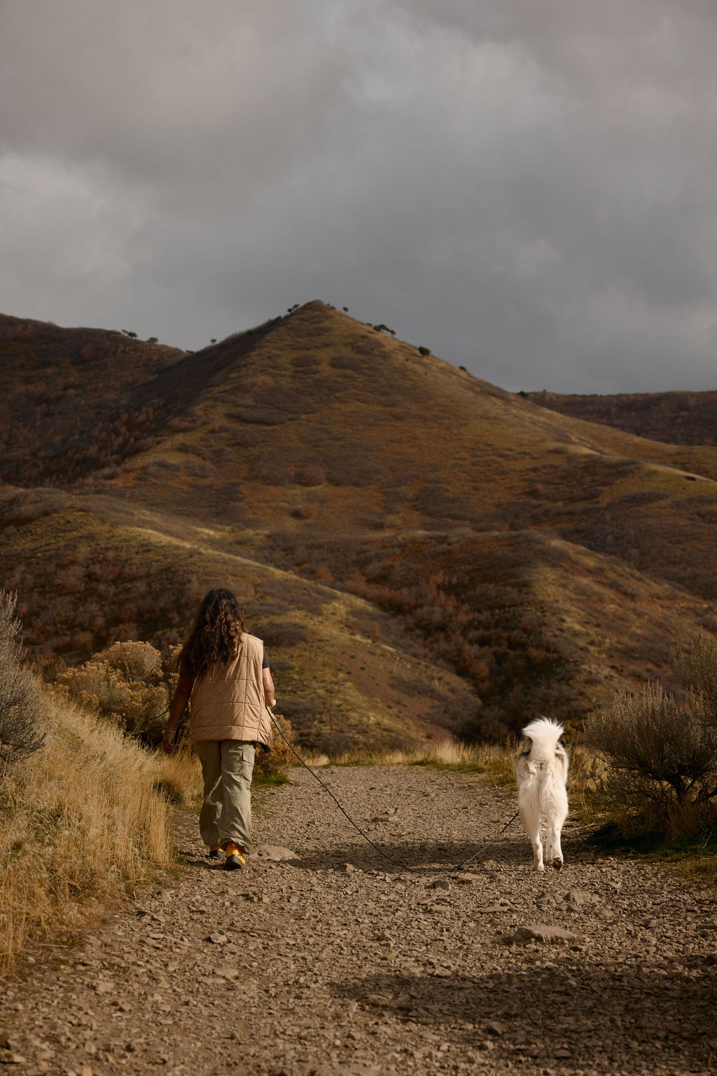 Hands-Free Leash product image 12