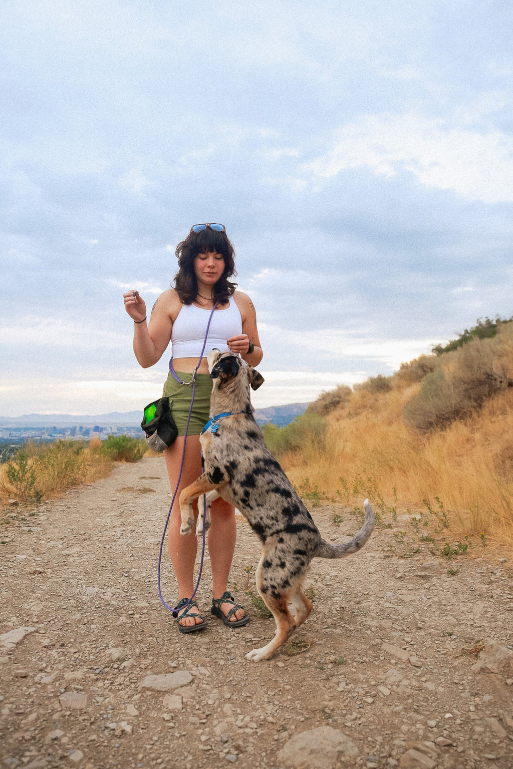 Hands-Free Leash product image 15