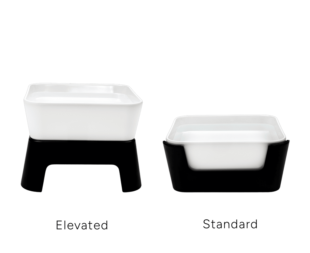 Pet Water Bowl product image 2