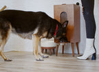 Pet Water Bowl product image 12