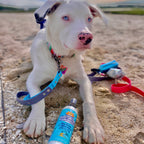 Dog Sun Spray product image 3