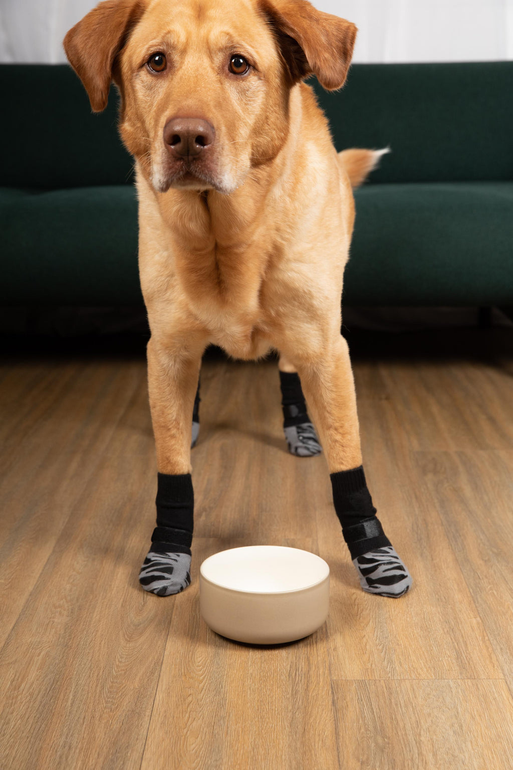Non-Slip Dog Socks product image 7