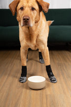 Non-Slip Dog Socks product image 7