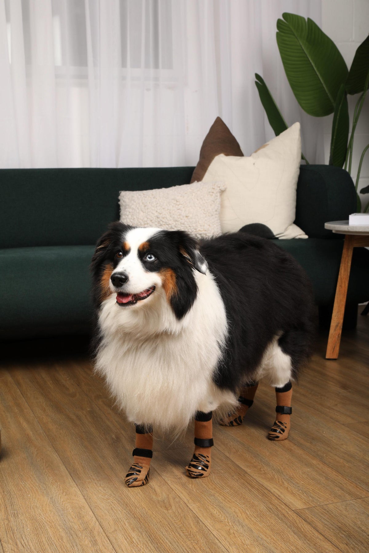 Non-Slip Dog Socks product image 8