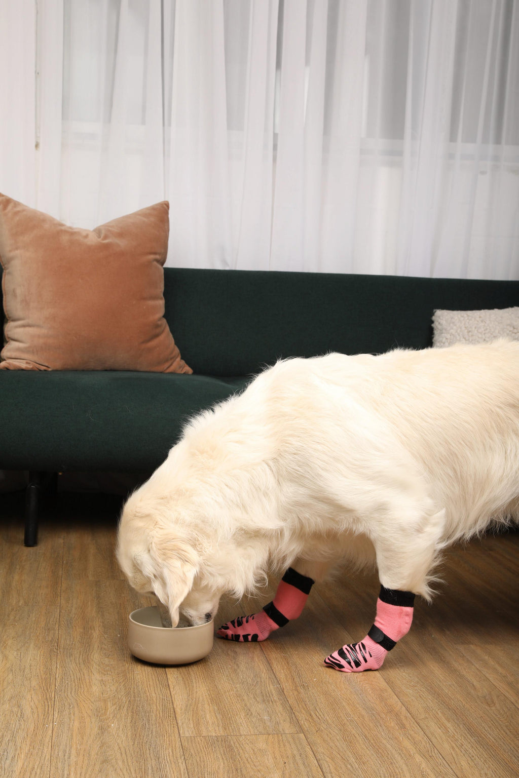 Non-Slip Dog Socks product image 9
