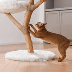 Wooden Cat Tree product image 4