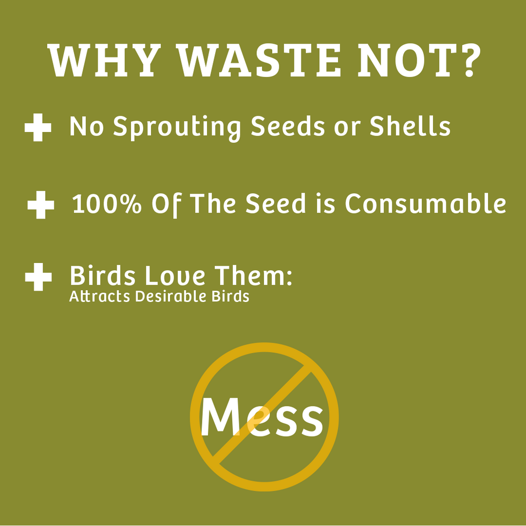 Wild Bird Food product image 4